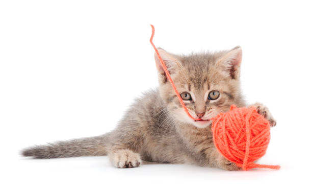 istock Little kitten playing with a ball of yarn. 1411201980