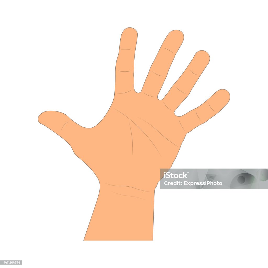 Ilustración de Dibujo De Dibujos Animados Del Brazo Humano Aislado Sobre Fondo Blanco Palma De Mano Dibujada Estilo Artístico Ilustración Vectorial y más Vectores Libres de Derechos de Choque de manos en Ilustración de Dibujo De Dibujos Animados Del Brazo Humano Aislado Sobre Fondo Blanco Palma De Mano Dibujada Estilo Artístico Ilustración Vectorial y más Vectores Libres de Derechos de Choque de manos en