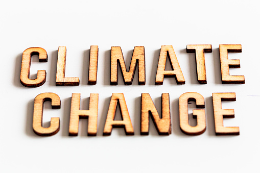 Wooden letters spelling words 'Climate Change' on white background. Room for copy space.