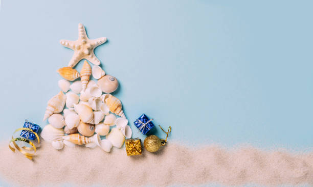 istock Creative Christmas tree from sea shells, small gifts blue background. Concept tropical new year 1411207628
