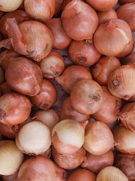 istock Group of onion on market stall 1411211924