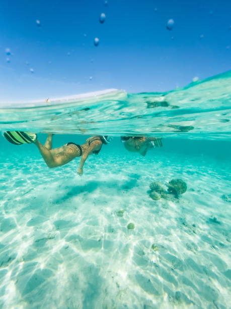 split shot of couple snorkeling in clear water - vacations couple travel destinations snorkeling imagens e fotografias de stock