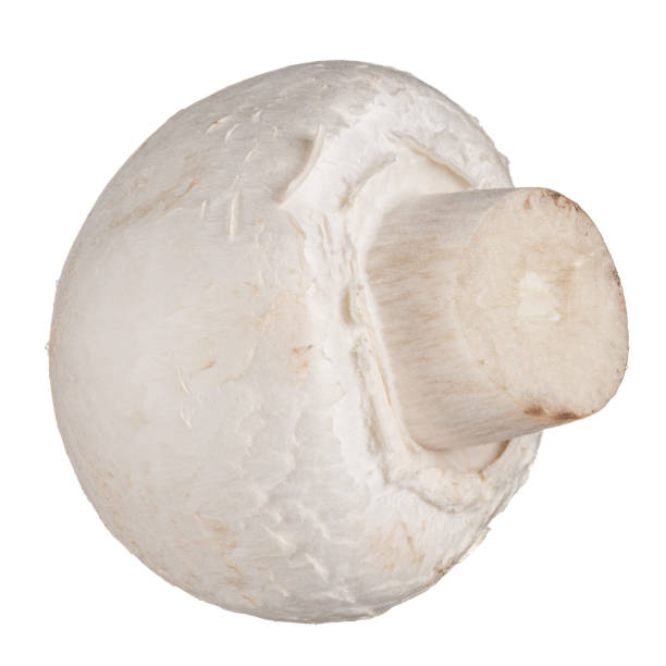 istock Whole champignon mushroom isolated on white background without shadow 1411219202