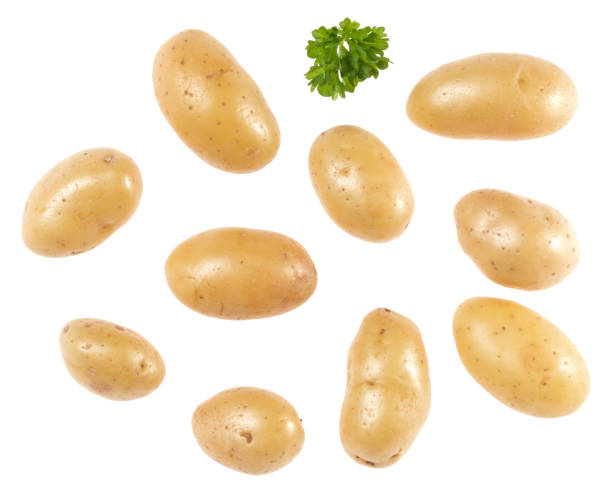istock Potatoes and parsley isolated over white background. Top view. Flat lay pattern. Potatoes in air, without shadow.. 1411219232