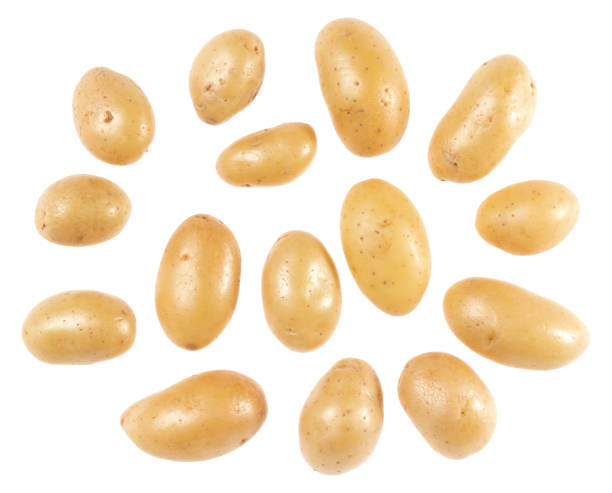istock Potatoes isolated over white background. Top view. Flat lay pattern. Potatoes in air, without shadow.. 1411219306