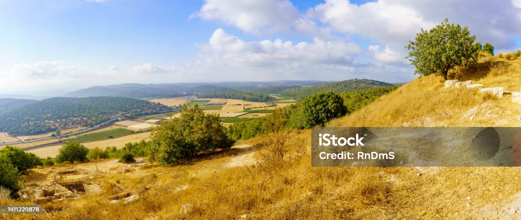 Panorama of countryside and rolling hills in the Shephelah region Panoramic view of trees, countryside and rolling hills in the Shephelah region, near Azekah, south-central Israel Israel Stock Photo