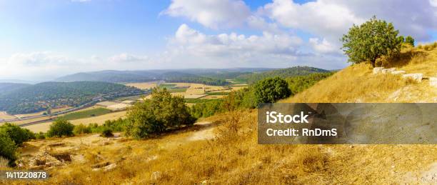 Panorama Of Countryside And Rolling Hills In The Shephelah Region Stock Photo - Download Image Now