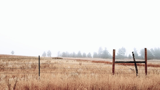 Foggy ranch, amber grass, barbed wire fence