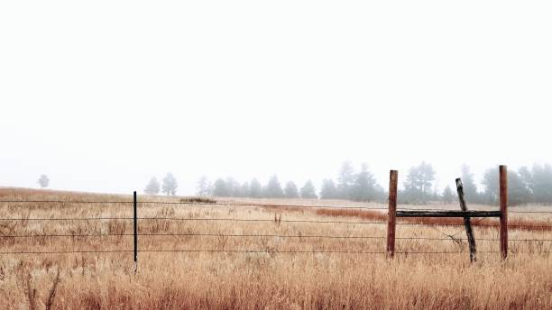 foggy ranch - barbed wire rural scene wooden post fence imagens e fotografias de stock