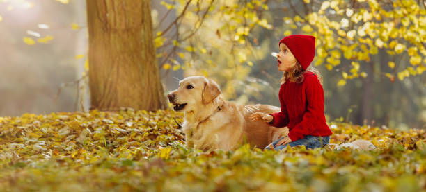 istock surprised child and dog looking ahead together. 1411222825