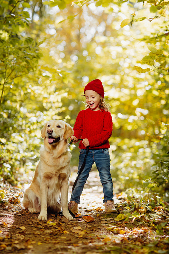 Friendly relationship between child and dog. Warm colors of autumn in the park.. A child in knitted red clothes next to a golden retriever.