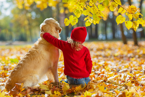 Friendly relationship between child and dog. Warm colors of autumn. A child in knitted red clothes hugs golden retriever. friends forever. the two looks into the distance.