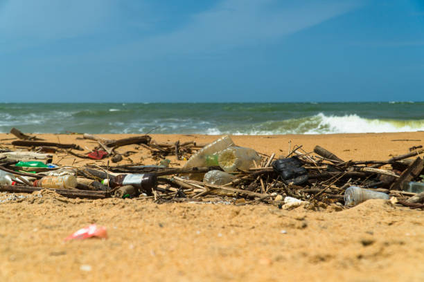 istock Polluted beach after a storm. Negombo, Sri Lanka. 1411225416