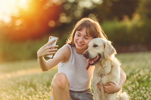 A Portrait of teenage girl petting golden retriever outside in sunset taking selfie