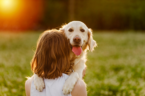 A Portrait of teenage girl petting golden retriever outside in sunset