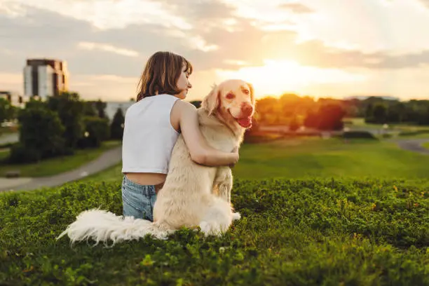 Photo of Portrait of teenage girl petting golden retriever outside in sunset view from back