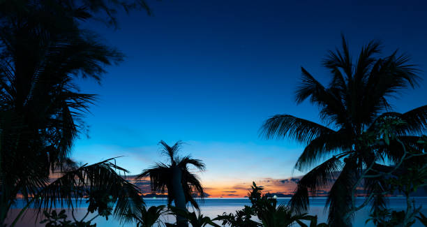 istock Silhouette coconut palm trees over blue sea sky background at dusk 1411225725