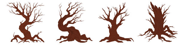 illustrations, cliparts, dessins animés et icônes de ensemble de vecteurs d’arbres morts, silhouette de branche nue sèche, forêt d’halloween effrayante, écorce d’automne effrayante. kit en bois de chêne du cimetière d’hiver, racines nues, clipart de tronc sans feuilles sur blanc. icône d’envi - tree silhouette branch bare tree