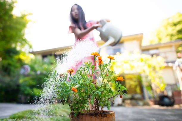 istock Girl watering flowers 1411230502