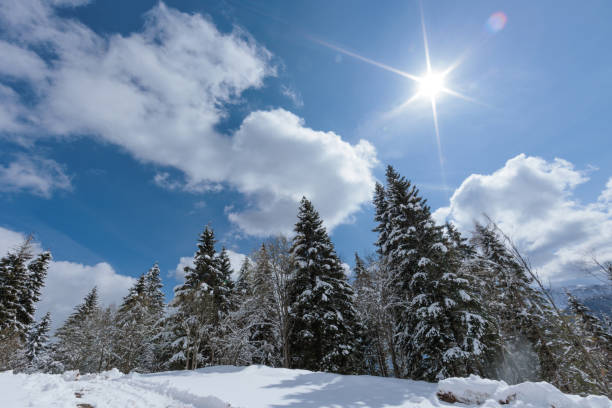 istock panoramic low angle view of a beautiful mountain environment with mountain sides and forests completely covered in snow and with the sky being covered by little clouds in the morning, in april, at the end of winter season 1411231020