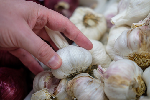 man hand holding garlic in supermarket