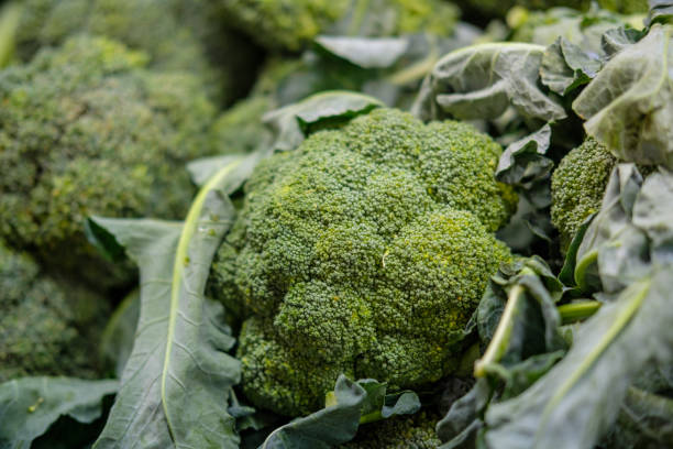 Broccoli on a supermarket shelf