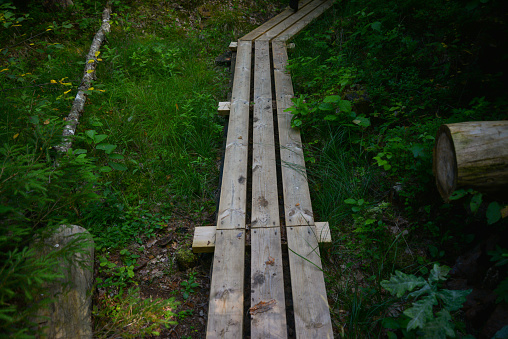 Wooden boardwalk for tourists and pedestrians in the forest in the swamp.