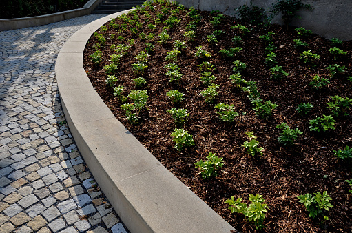 new plantings of perennials in the sloping park with anti-erosion battening. retaining walls cast from concrete in graceful arches. staircase with central railing metal steel, silver, glauca, handrail, festuca, path, sieboldiana, slope, terminalis, mulching, rods, rod