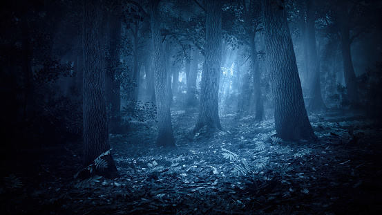 A fabulous creepy forest thicket with moonbeams breaking through the crowns of trees. The forest thicket at night. Scary Night Forest