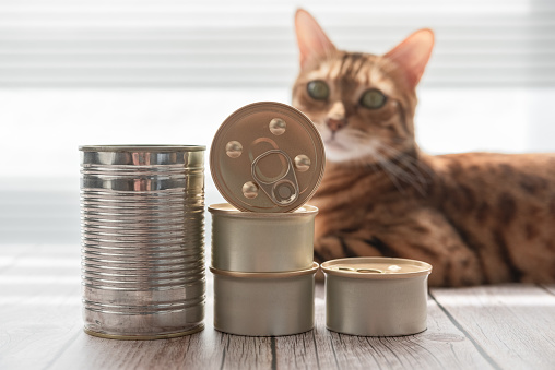 Several closed cans of cat food. Food for pets.