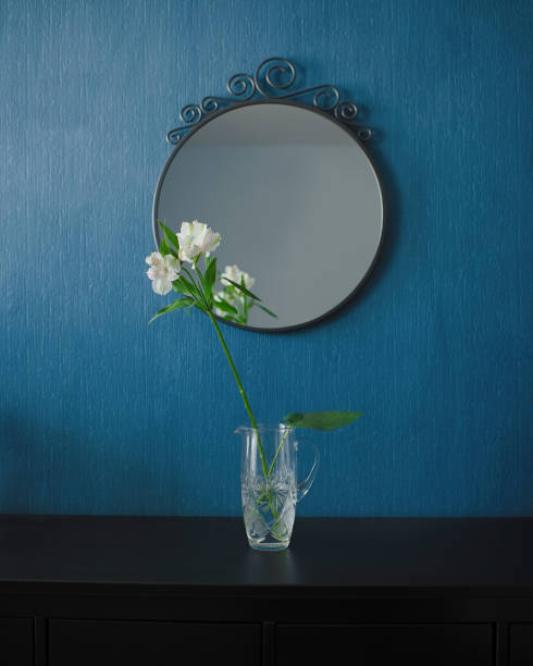 An indoor plant with a tall mirror in a bright living room.