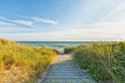 Wooden path to Hesselbjerg Strand Baltic Sea beach at Ristinge, Langeland, Denmark