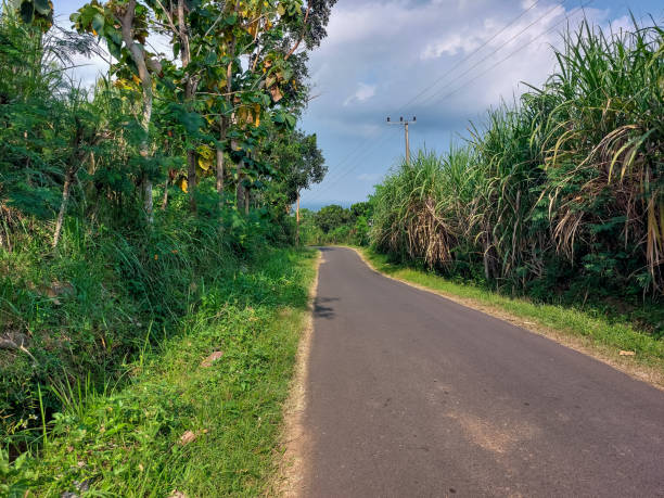istock road in the mountains during the day 1411238403