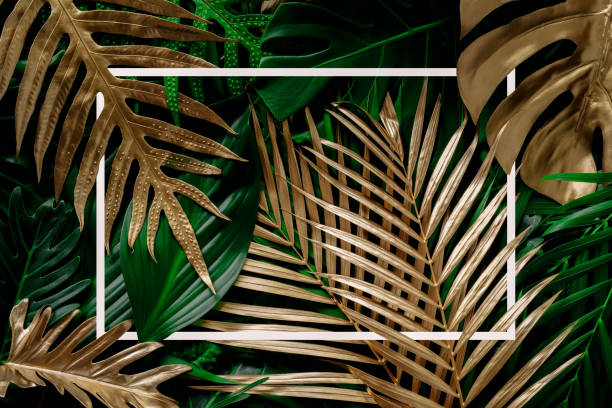 istock tropical green leaves and palms with white paper note frame, nature flat lay concept 1411238967