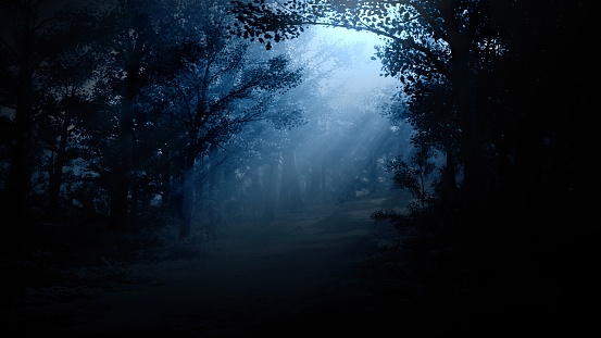 A pathway in a fabulous creepy forest thicket with a moonlight coming through the tree crowns. Forest thicket at night. Landscape in a scary forest thicket