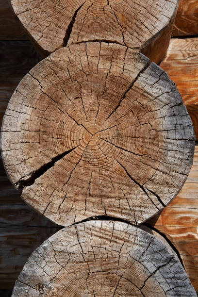 Round ends of wooden logs, corner of the house