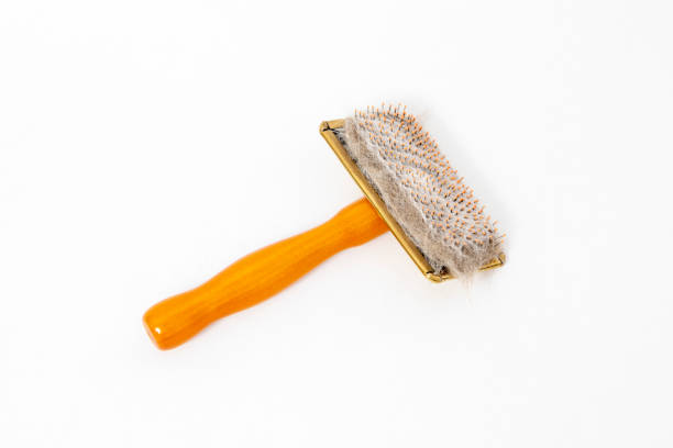 istock Grooming brush and cat hair on a white background. 1411246945