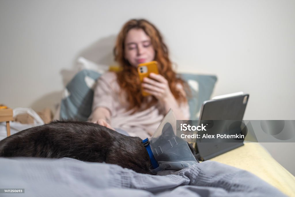 Cat in cone collar sleeping at the feet of young woman in bed texting on her phone. Focus on the foreground with defocused background. Girl using smartphone and laptop in bedroom while cat sleeping at her feet. 20-24 Years Stock Photo