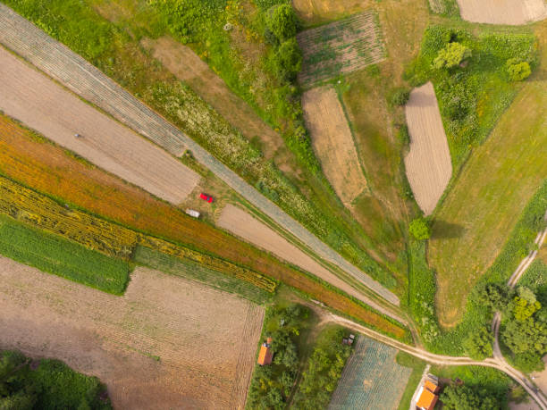 istock View of plantations in fields 1411251895