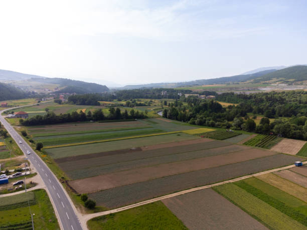 istock View of plantations in fields 1411252159