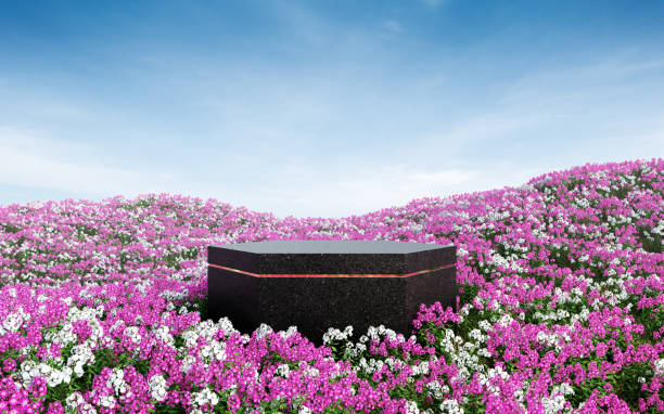 istock Empty hexagon black terrazzo podium in flower field. 1411252419