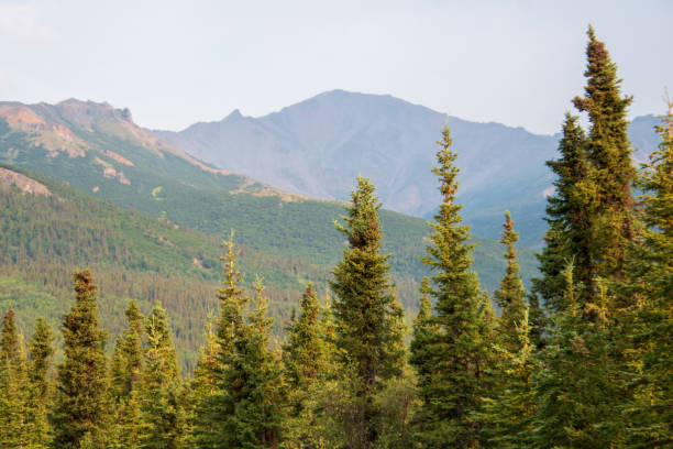 istock Alaska mountain landscape view 1411252626