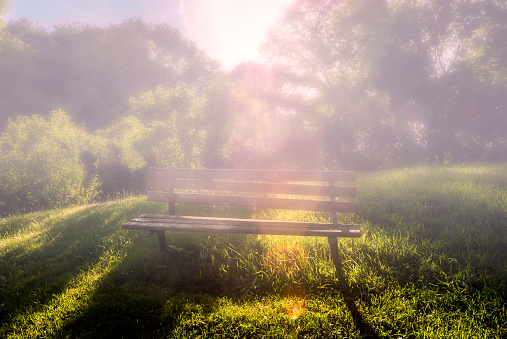Bench in a field of grass in a park illuminated by rising sun hazy morning