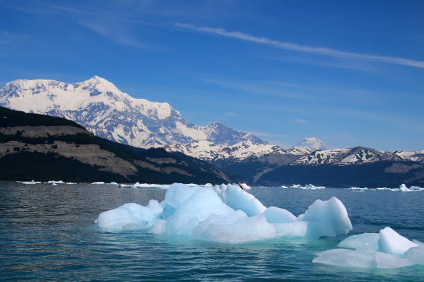 マウント セント エリアスの背景にあるアイシー ベイの氷山、アラスカ、アメリカ合衆国 - glacier alaska iceberg melting ストックフォトと画像