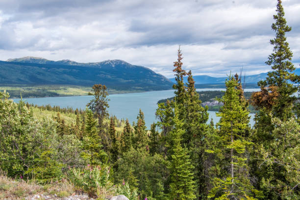 istock Alaska wilderness landscape 1411261724