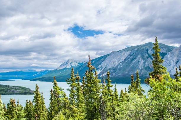 istock Alaska wilderness landscape 1411261731