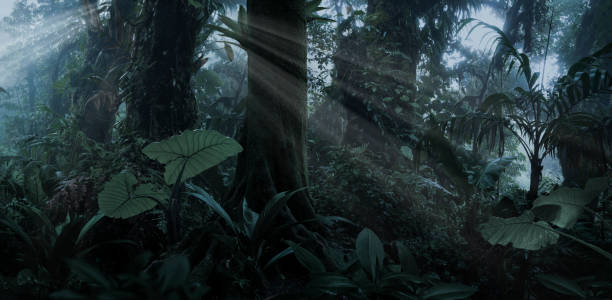 istock Tropical rainforest in Costa Rica 1411263511