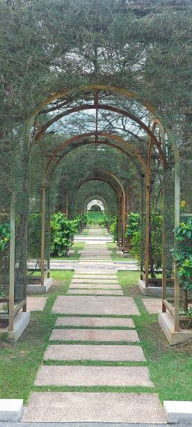 istock Beautiful Garden in Kota Iskandar 1411264432