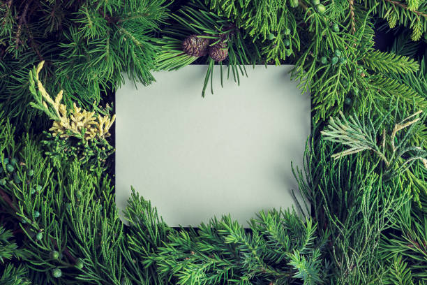istock Creative christmas mock-up of pine and juniper branches with a white blank card. 1411265894