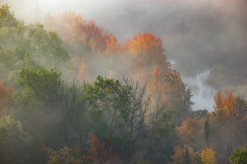 istock Autumn Forest in Fog Lake of the Clouds 1411268593
